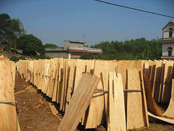 T&N 特奈木業 天然木皮進口業務拓展